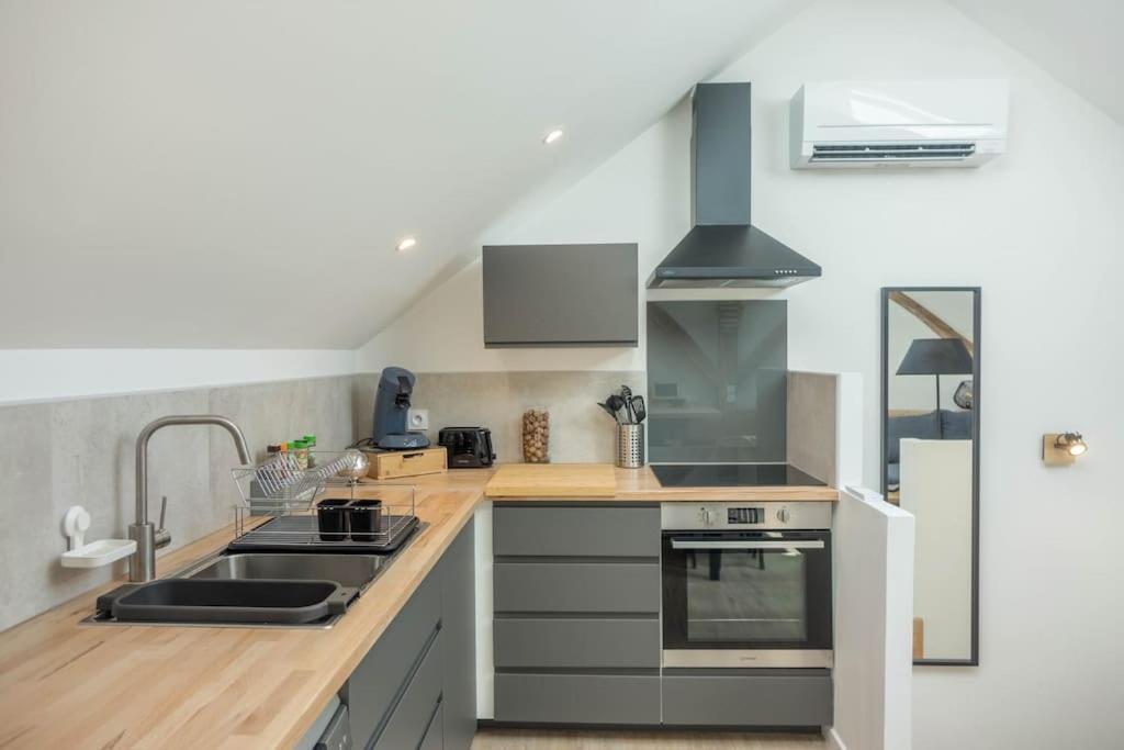 Maison/Appartement Avec Jardin Saint-Denis-en-Val Zewnętrze zdjęcie